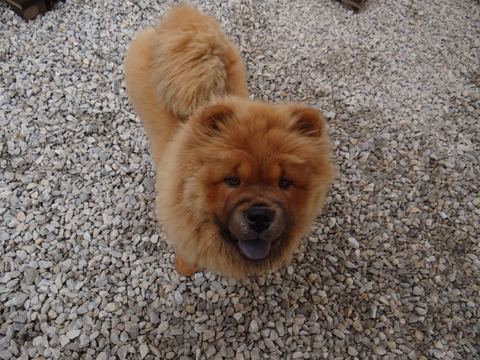 DSC03037