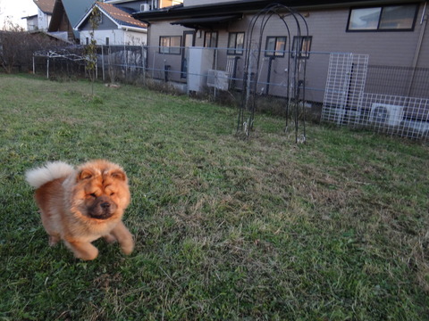 DSC04624