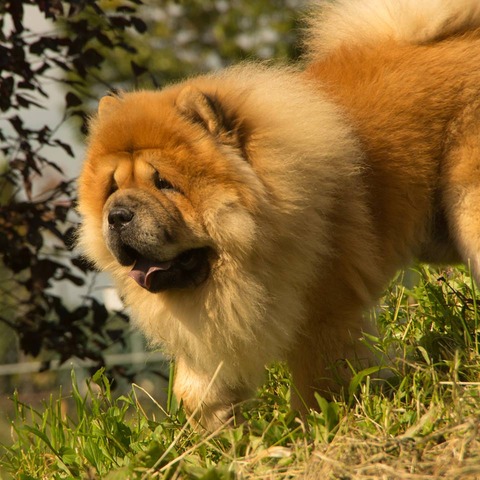 21691392_1651412918264963_1425183303_n