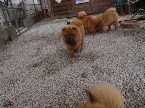 DSC03061