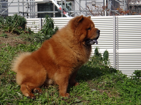 DSC04606