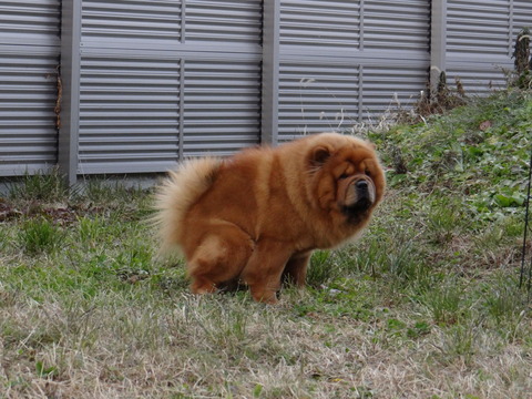 DSC04683