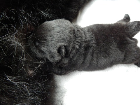 10506731_369086836635085_7331666919266386201_o