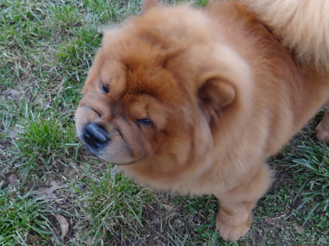 DSC04666