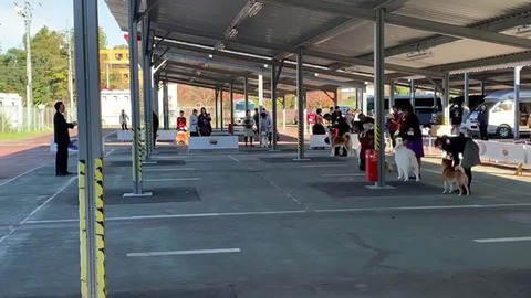 45777258_1361586067312344_935579950222671872_n