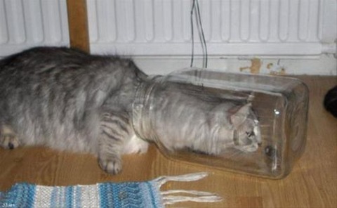 211