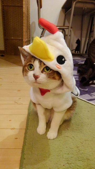871