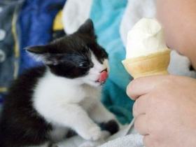 777