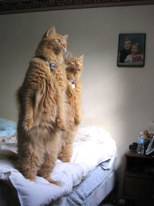 188