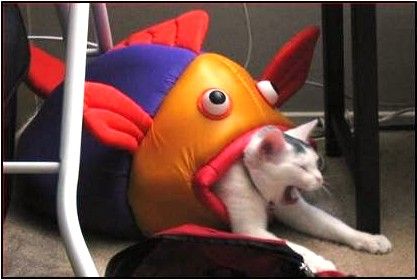 186