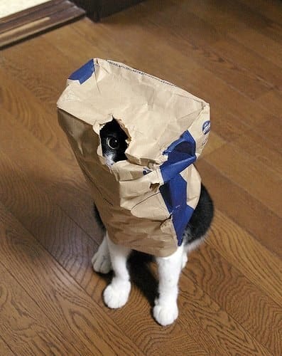 939