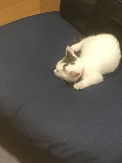 828