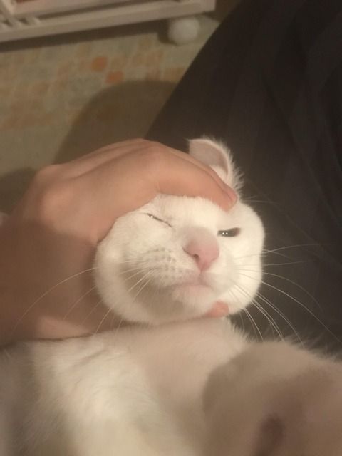 815