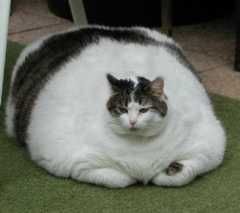 657