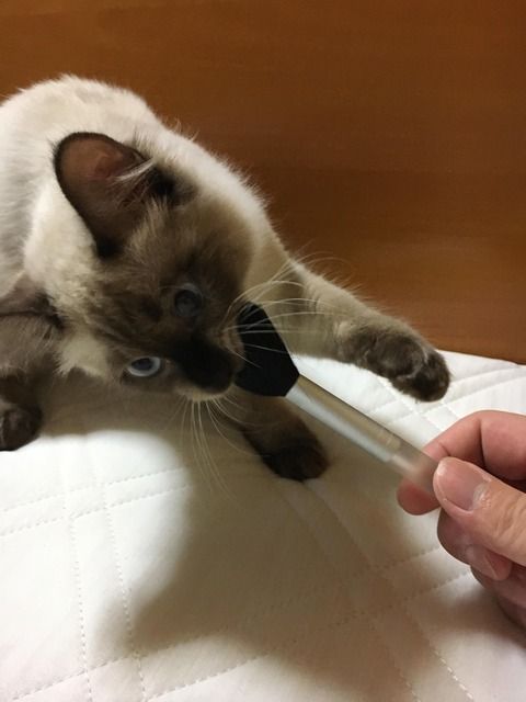 921