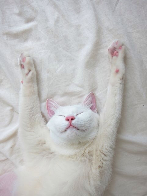 798