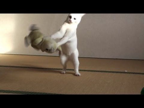 794