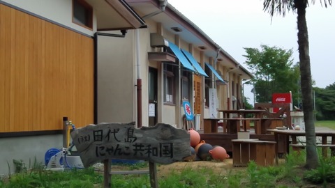 04646b26.jpg