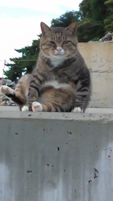 386d4ee7.jpg