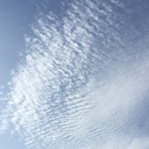 2015-11-01-14-55-47
