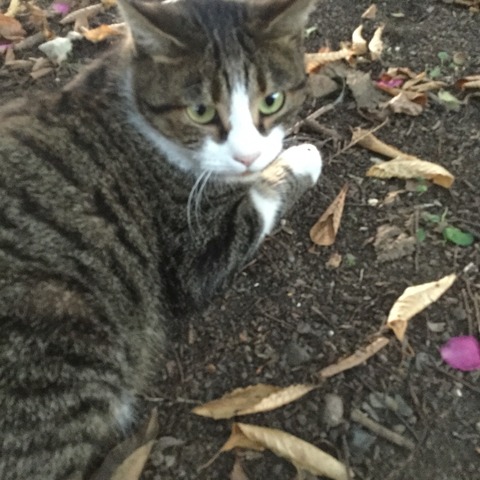 2015-10-24-16-38-26