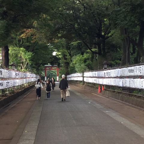 2017明治天皇御親祭