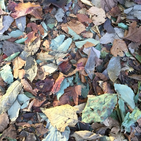 2015-11-01-15-01-26