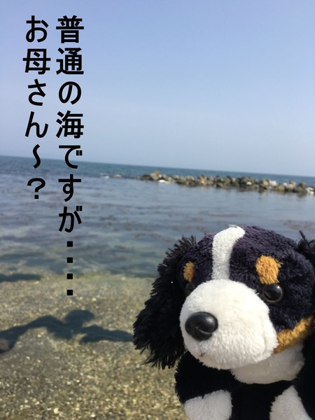 トヤマ うみ