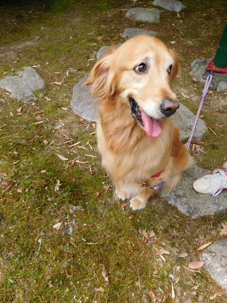 DSCN0082