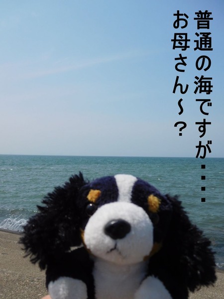 トヤマ 蜃気楼