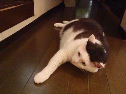 P7130058