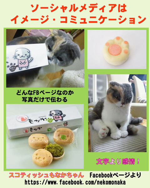 nekomonaka