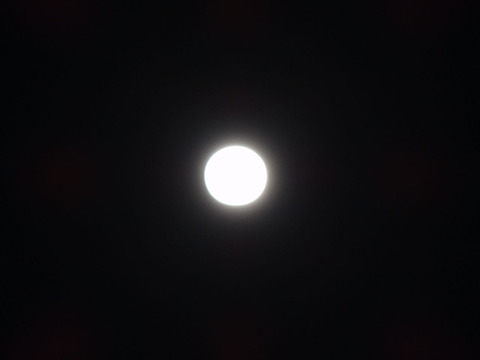DSC00767