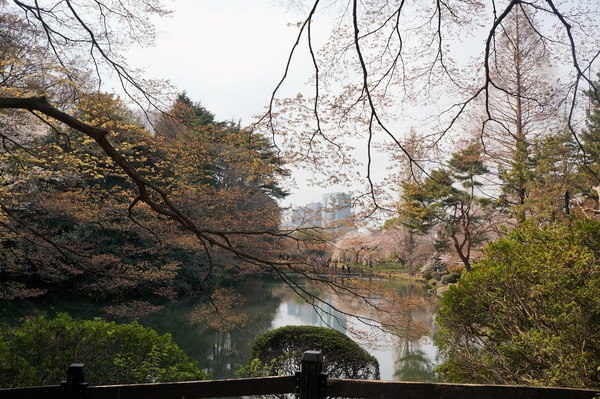 DSC03863 (2)