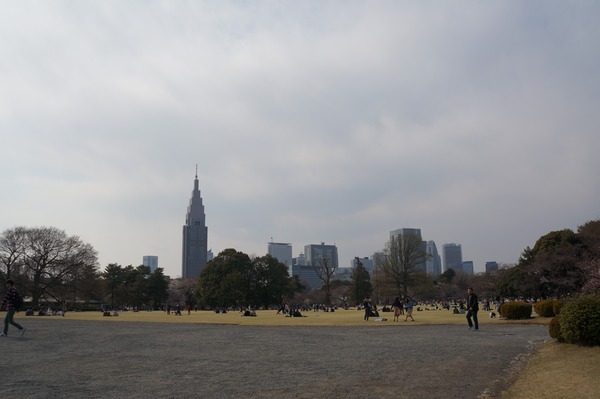 DSC03885(2)