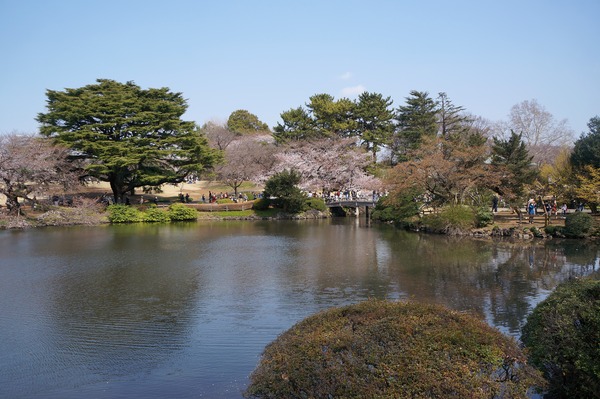 DSC03743 (2)