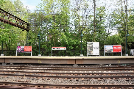 DSC09817 (2)-450