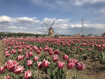 IMG_6587