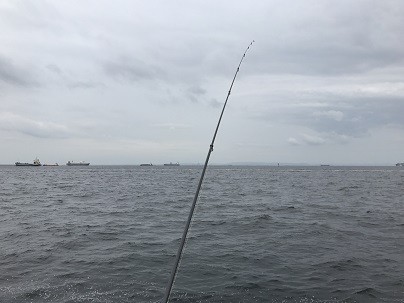 IMG_4431