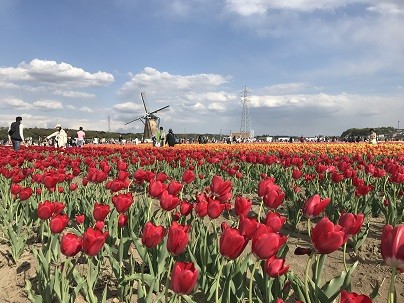 IMG_6584