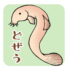 ひどじょうのスタンプできたー どじょっこ帳