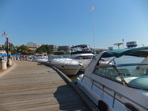 DSCF0935