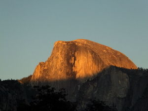 DSCF0246