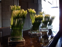 DSC05235