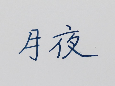 セーラー鳥獣戯画 (8)