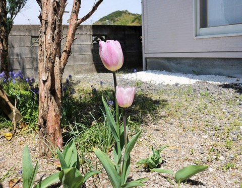 20180412 (3)