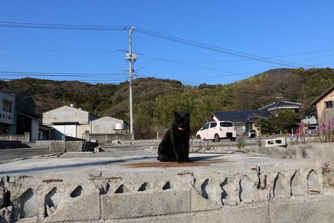 チロル20170215 (5)