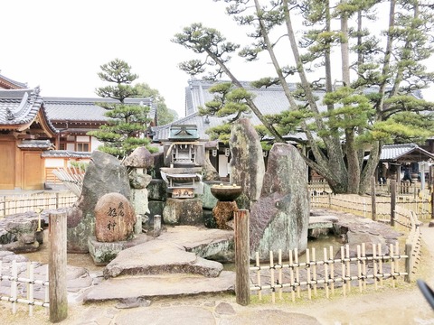 20180210-1 (13)