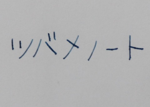 セーラー鳥獣戯画 (9)