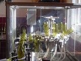 bottling2